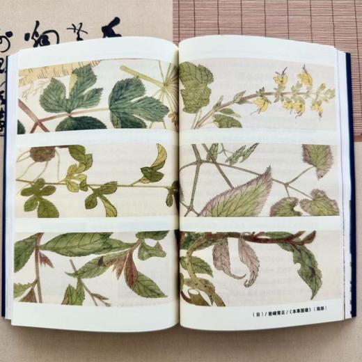 《黄帝外经》上下册 商品图5