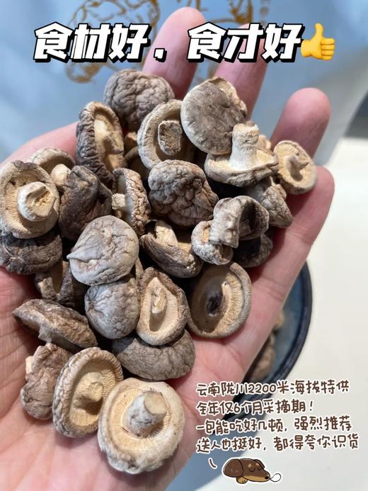 【云南桑木有机香菇】有机溯源❗桑木精华滋养❗炖菜界天花板级食材❗ 有机标认证，1年1审，1罐1码，可扫码认证❗ 商品图3