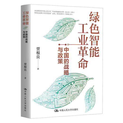 绿色智能工业革命：中国的战略与政策 商品图0
