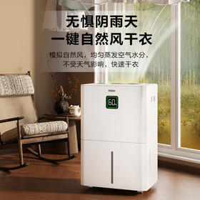 海尔（Haier）除湿机家用地下室带水管排水室内低音可净化干衣压缩机式智能app操控大功率吸湿器CF40-JYAU1