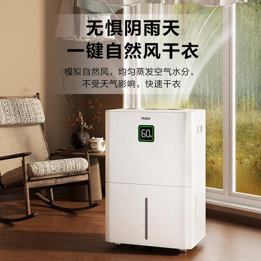 海尔（Haier）除湿机家用地下室带水管排水室内低音可净化干衣压缩机式智能app操控大功率吸湿器CF40-JYAU1 商品图0