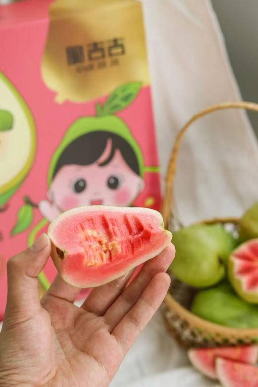 【会员21.5/斤】脆吉吉福建奶油草莓红心芭乐 商品图2