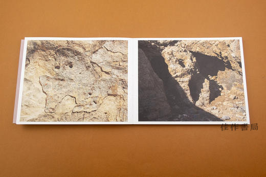 Adam Thorman: Creatures Found / 亚当·索尔曼：被发现的生物 商品图4