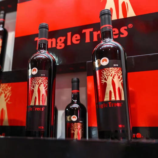 丁戈树红标赤霞珠干红葡萄酒（优选级）750ml*6整箱装 商品图3