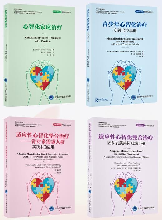 心智化治疗实践指南系列（一套4本）   北医社 商品图1