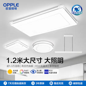 OPPLE欧普照明品煦客厅1.2m大尺寸极简风吸顶灯套餐