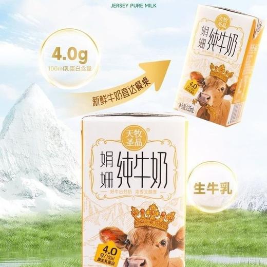 天牧圣品4.0蛋白纯牛奶125ml✘10盒/3箱 商品图3