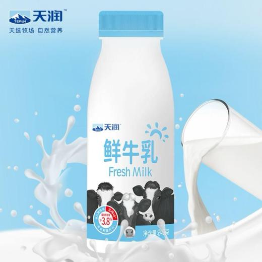 新疆天润牛奶 鲜牛乳/百香果奶啤/纯牛奶 产自黄金奶源带 商品图4