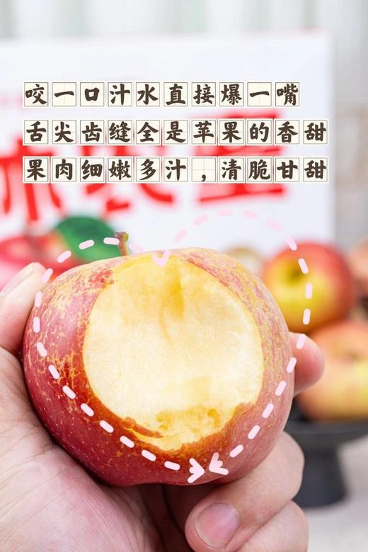 云南昭通丑苹果 口感爽脆 核小肉厚 清甜多汁 果肉细腻无渣 商品图4