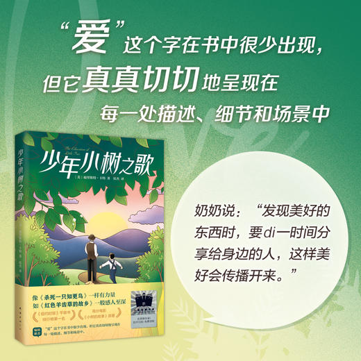 《少年小树之歌》百班千人70期六年级6年级名师推荐课外书必读正版授权（按需加入购物车自选） 商品图2