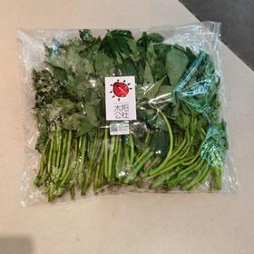 太阳公社有机番薯叶 250g/份