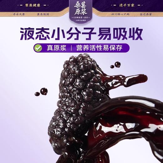劲家庄100%桑葚原浆600ML/盒（30ML*20） 商品图5