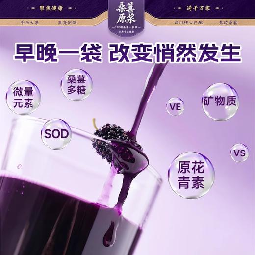 劲家庄100%桑葚原浆600ML/盒（30ML*20） 商品图4