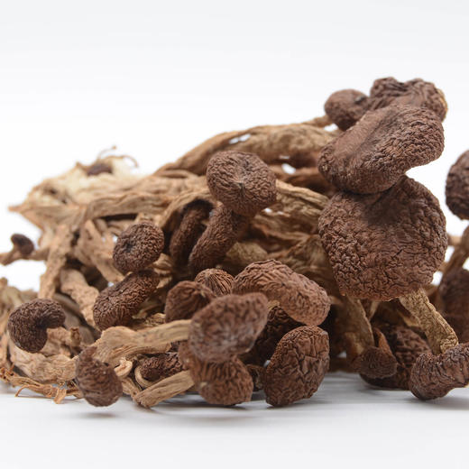 四川特产蜀道茶树菇250g罐装 商品图1