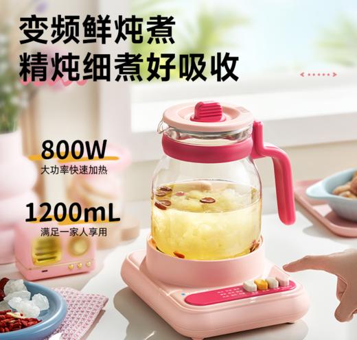 德国蓝宝电热水壶家用全玻璃烧水壶恒温保温HP06 商品图0