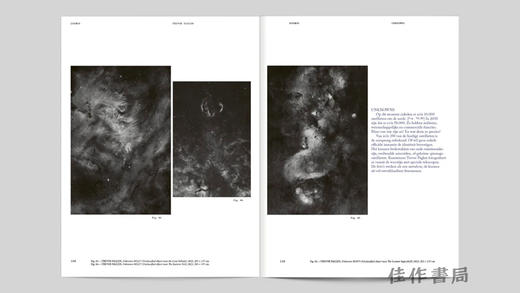 Cosmos / Kosmos / 宇宙 商品图4