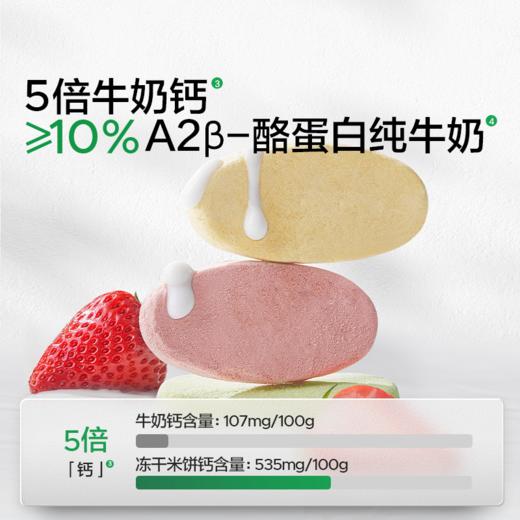 【宝宝馋了】婴幼儿益生菌冻干米饼，赠6月+辅食食谱 商品图2