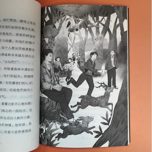 【9岁+】萤火虫解忧店1-3（共3册）儿童版解忧杂货店 商品图7