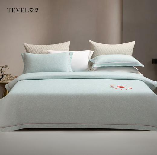 6F堂皇  岁岁平安全棉磨毛四件套 商品图0