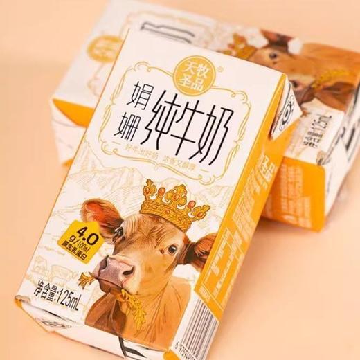天牧圣品4.0蛋白纯牛奶125ml✘10盒/3箱 商品图0