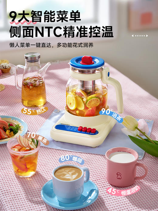 德国蓝宝电热水壶家用全玻璃烧水壶恒温保温HP06 商品图2
