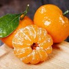 【金秋沙糖桔】纯甜多汁，顺丰发货! 商品缩略图1
