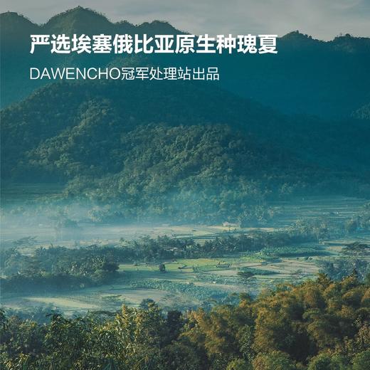 明谦瑰夏挂耳咖啡商超同款美式黑咖啡手冲咖啡粉挂耳式 商品图3