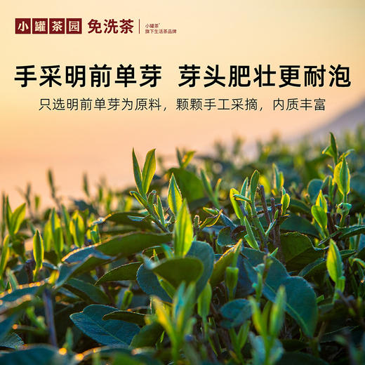 小罐茶园金标系列特级 白毫银针茶升级版60g 商品图1