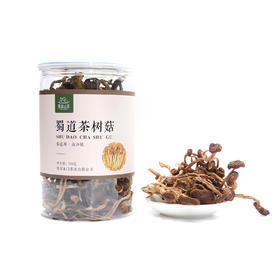 四川特产蜀道茶树菇250g罐装