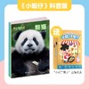 [预定2026年]小聪仔科普版+启蒙版+幼儿版 超值赠品 商品缩略图2