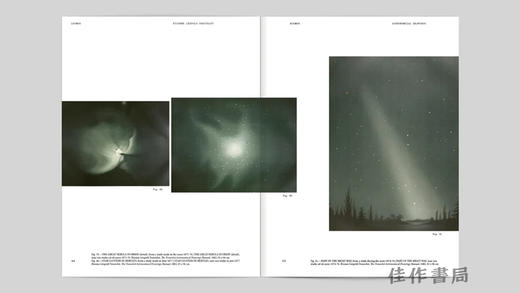 Cosmos / Kosmos / 宇宙 商品图3