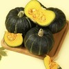 寿光 绿贝贝南瓜 商品缩略图1