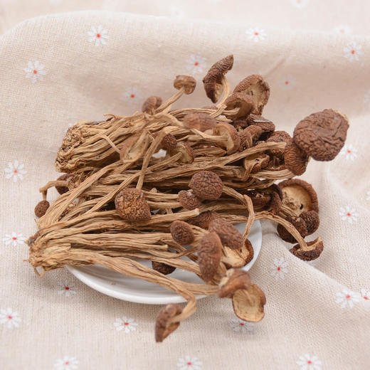 四川特产蜀道茶树菇250g罐装 商品图3