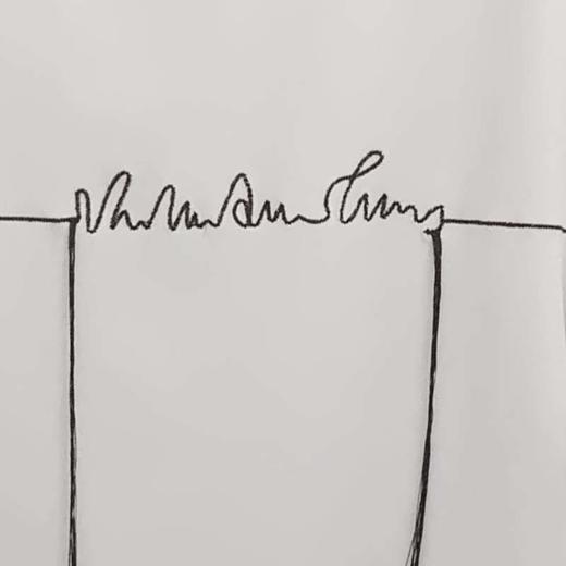 VIVIAN LIU薇薇安刘D2457311 夏季女装新款短袖前胸刺绣针织T恤 商品图3