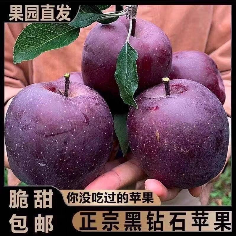 【脆甜多汁❗️甘肃云南黑卡苹果】原产地直供苹果之乡，素以色/香/味俱佳著称，人工精心栽培，天然无污染种植，当季新鲜酸甜富士应季脆甜孕妇水果，非国产红马果红富士苹果L