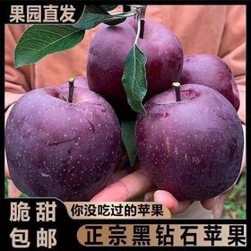 【脆甜多汁❗️甘肃云南黑卡苹果】原产地直供苹果之乡，素以色/香/味俱佳著称，人工精心栽培，天然无污染种植，当季新鲜酸甜富士应季脆甜孕妇水果，非国产红蛇果红富士苹果L