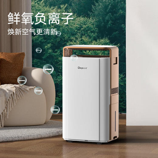 德业（Deye）除湿机/抽湿机 除湿量58升/天 家用地下室别墅干衣变频吸湿器 空气净化除甲醛DYD-V58A3 商品图4