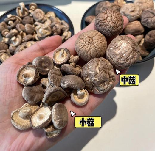 【云南桑木有机香菇】有机溯源❗桑木精华滋养❗炖菜界天花板级食材❗ 有机标认证，1年1审，1罐1码，可扫码认证❗ 商品图1