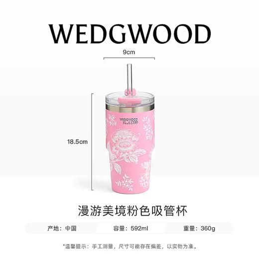 WEDGWOOD威基伍德吸管杯保温杯咖啡杯 商品图3