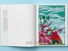 David Hockney. My Window / 大卫·霍克尼. 我的窗户 /大开本原版画册 /Taschen XL系列 商品缩略图3