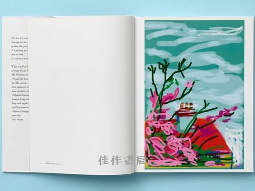 David Hockney. My Window / 大卫·霍克尼. 我的窗户 /大开本原版画册 /Taschen XL系列 商品图3