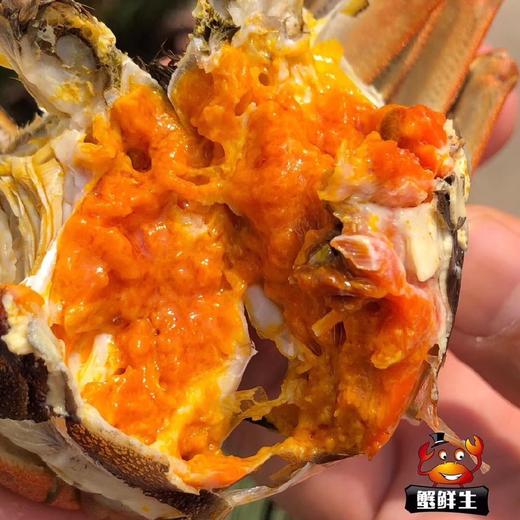 阳澄湖大闸蟹（688型/888型/1088型/1368型需要蟹卡可备注） 商品图2