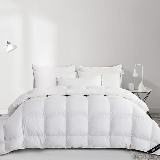 【云粉节】10楼 安睡宝 西伯利亚进口95%白鹅绒抗菌立体冬被 吊牌价12999-19999元 活动价3399-4299元 商品图4