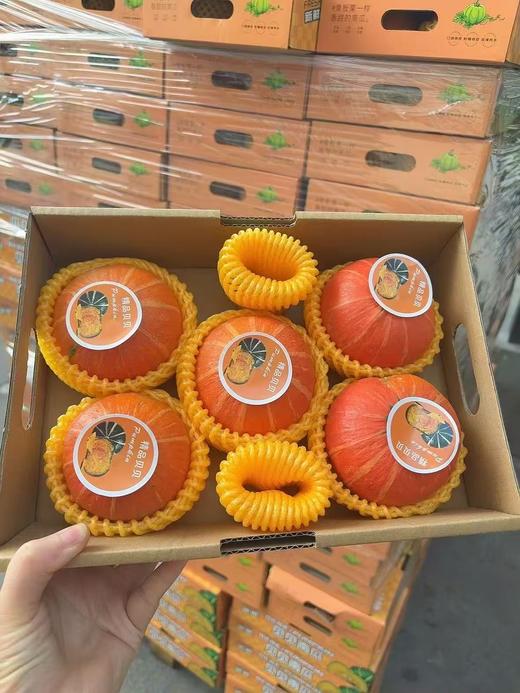 香甜糯的惠和一号金贝贝南瓜 商品图4