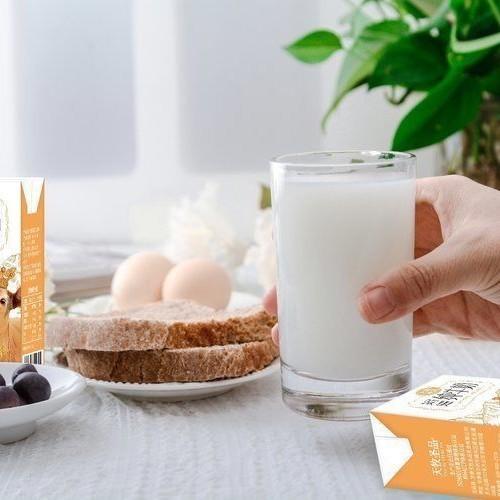 天牧圣品4.0蛋白纯牛奶125ml✘10盒/3箱 商品图4
