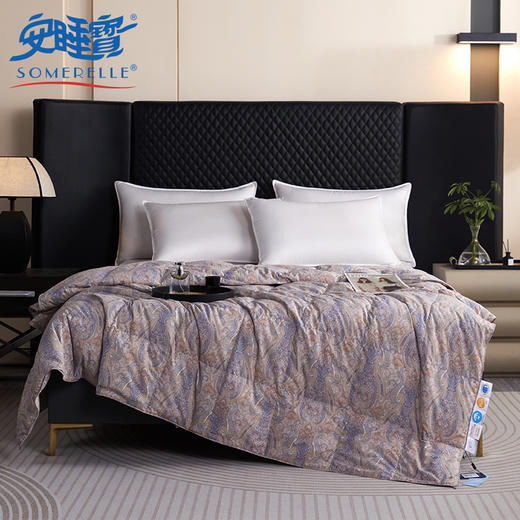 【云粉节】10楼 安睡宝 安芯95%羽绒加厚冬被 吊牌价9999-10999元 活动价1799-1999元 商品图0