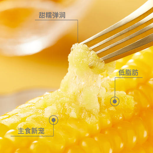 新疆甜糯玉米2.5kg/箱8-10根装 商品图1