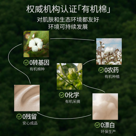 【内衣内裤专场】嫚熙有机棉可露丽哺乳内衣聚拢防下垂文胸喂奶专用 商品图4