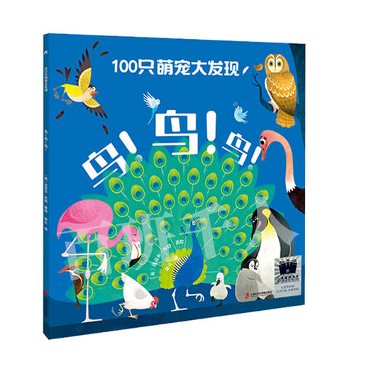 100只萌宠大发现：鸟！鸟！鸟！ 百班千人70期一年级1年级名师推荐课外书必读正版授权（按需加入购物车自选） 商品图4