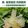 中华药柚 高山老树小柚子「土柚子」
纯生态喔！按实际重量多退少补 商品缩略图0